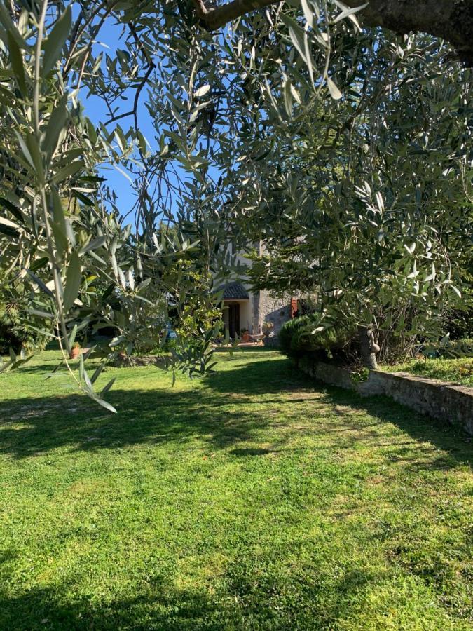 Casale La Civetta Larino Exterior foto